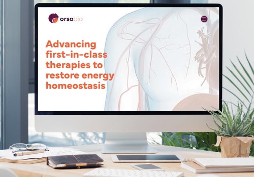 UX/UI Design Package Example: Clinical-Stage Biopharma Website Design + Branding