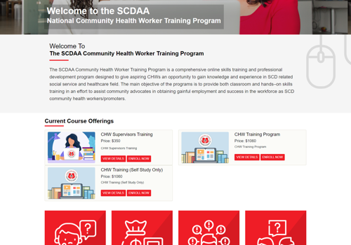 Web Design Package Example: SCDAA Learning Management System