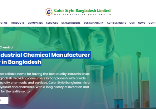 Web Design Package Example: Color Style BD's Web Design with Creatibuzz LLC