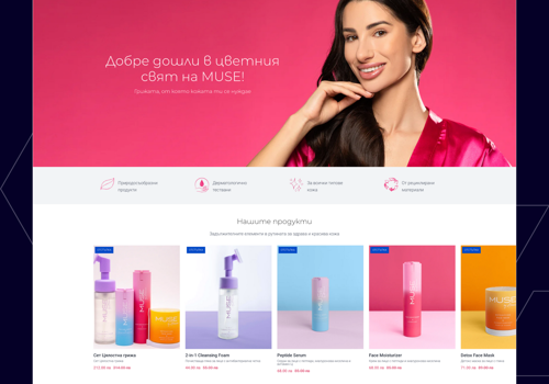 Web Design Package Example: Shopify Website Developlment