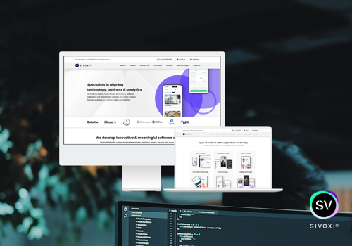 Custom Software Development Package Example: Transforming an online presence
