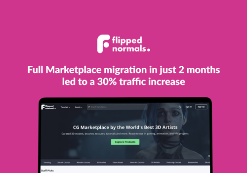Custom Software Development Package Example: Project with Flipped Normals