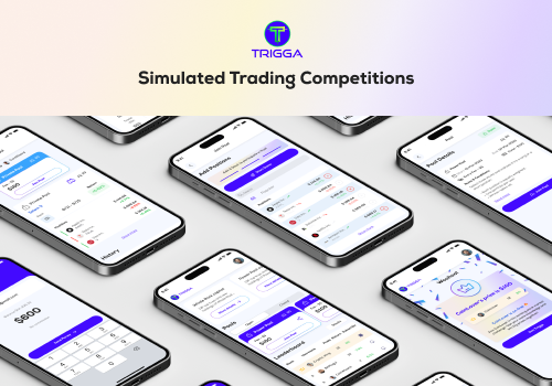 Custom Software Development Package Example: Trigga