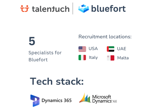 Recruiting Package Example: Microsoft Dynamics experts for Bluefort