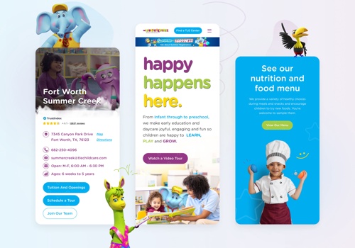 Search Engine Optimization Package Example: The Learning Experience new website and SEO