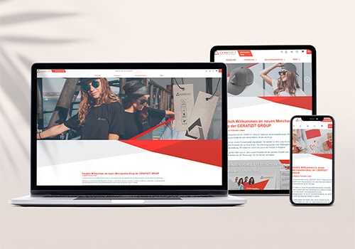 E-Commerce Development Package Example: Magento 2 Project References | Ceratizit