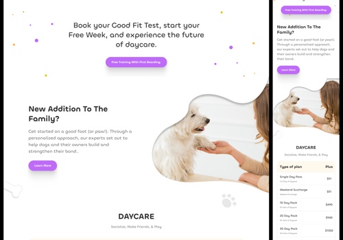 Web Design Package Example: Landing Page UIUX