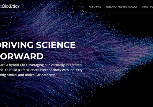 Custom Software Development Package Example: Algolia API  ML & AI based custom Development