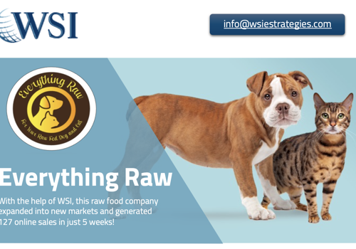 E-Commerce Development Package Example: Everything Raw Case Study