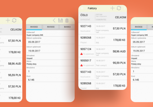 Custom Software Development Package Example: e-Invoice