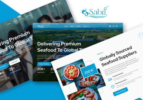 Low/No Code Development Package Example: Webflow Website Design and Development