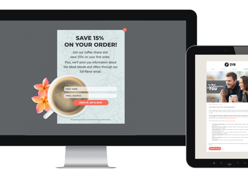 Email Marketing Package Example: Email + SEO = A Big Jolt to Sales & Web Traffic