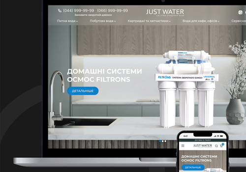 Web Design Package Example: Development of an online store.
