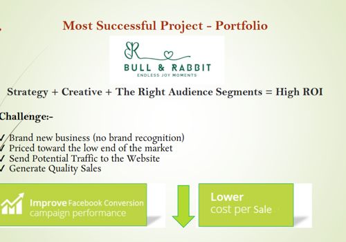 Pay Per Click Package Example: Bull & Rabit