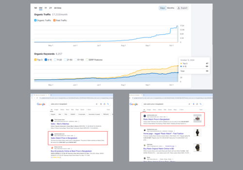 Search Engine Optimization Package Example: E-commerce SEO for a Watch Shop - Google Ranking