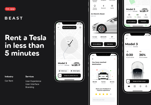UX/UI Design Package Example: Zero-emissions car rental
