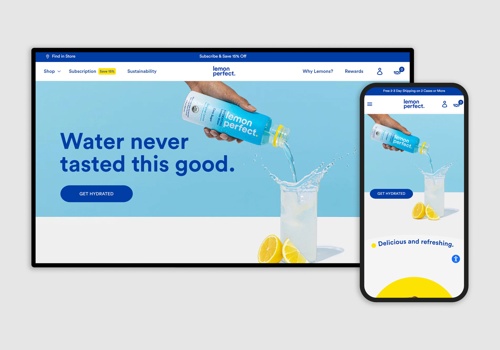 Web Design Package Example: Custom Designed & Developed Store for LemonPerfect