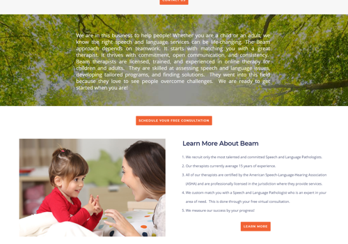 Web Design Package Example: WordPress Website Design For Beamspeech.com