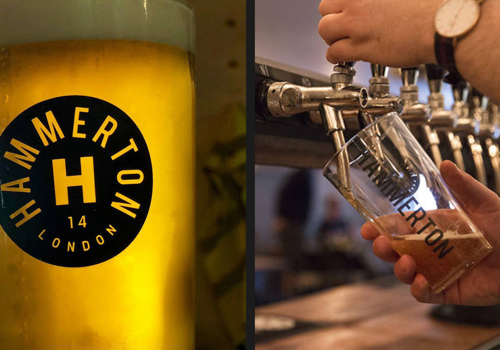 Branding Package Example: Hammerton Brewery Branding and Packaging