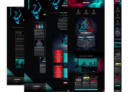 Web Design Package Example: Seismic Dance Event