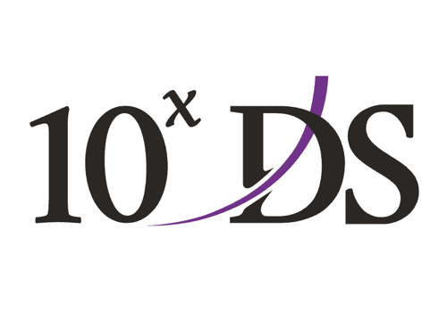 Branding Package Example: Exponential Digital Solutions (10xDS)