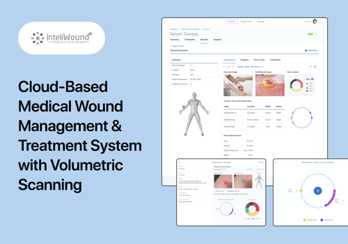 Custom Software Development Package Example: Wound treatment platform with volumetric scanner