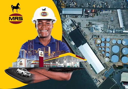 Custom Software Development Package Example: MRS Holdings Ltd.  - IT Consulting & Development