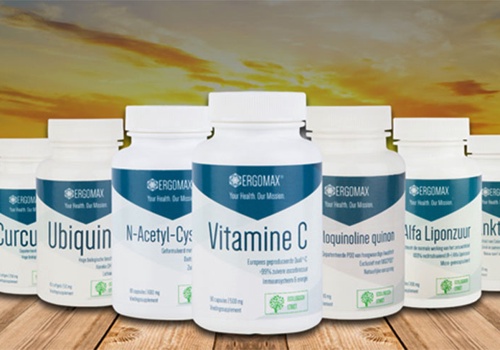 Search Engine Optimization Package Example: Magento 2 Services for Ergomax Well-being