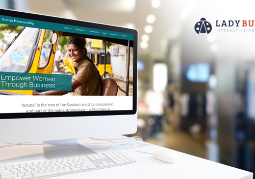 Web Design Package Example: Website Redesign for International Non-Profit