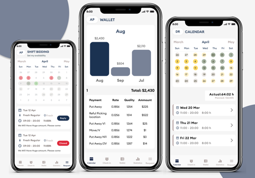 Web Development Package Example: Plan and Work