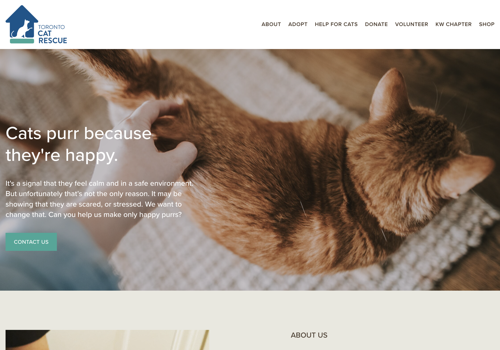 UX/UI Design Package Example: Strategy and Web Design for Pet Adoption Agency