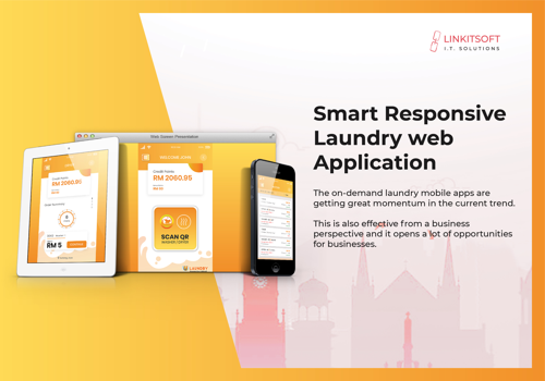 Custom Software Development Package Example: Web application for laundromat