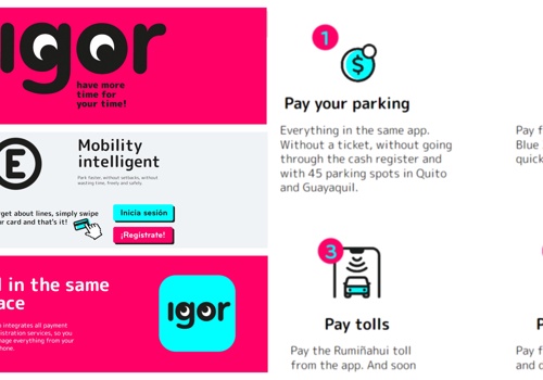 Mobile App Development Package Example: Parking , Toll, Blue Zone, Gasoline in 1 App