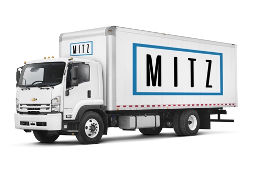 Branding Package Example: Mitz