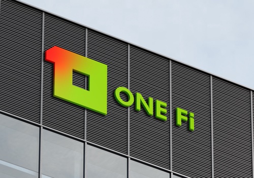Branding Package Example: ONE Fi