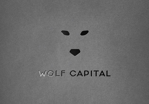 Branding Package Example: Wolf Capital - Real Estate Developer