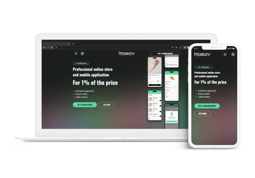 Custom Software Development Package Example: Mobizy - Solutions for Small and Medium Businesses