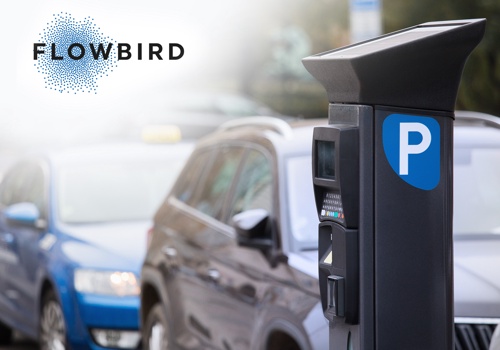 Custom Software Development Package Example: Flowbird