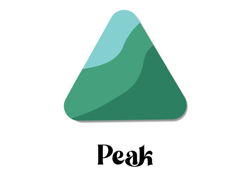 Branding Package Example: Brand Identity Design for PEAK