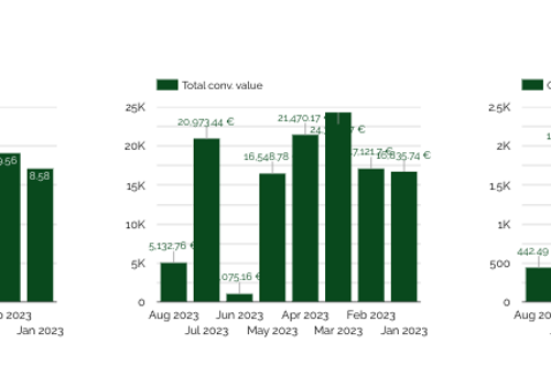 Pay Per Click Package Example: 5 Months - 10x ROAS on Google Ads