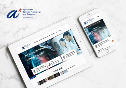 Custom Software Development Package Example: Agency for Science,Technology & Research