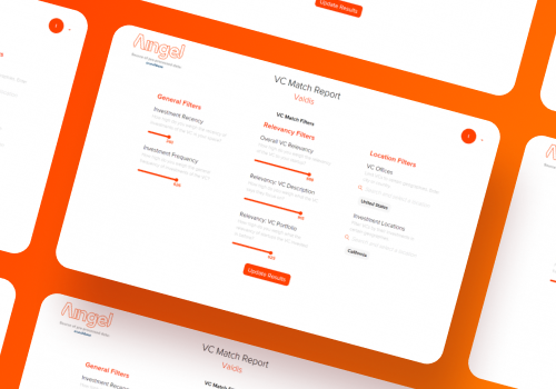 Custom Software Development Package Example: Aingel VC Matching