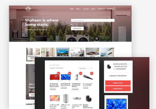 Web Design Package Example: LG Shaheen Website