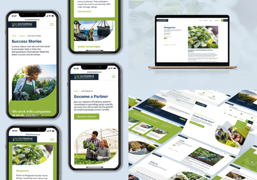 Web Design Package Example: Bioenterprise