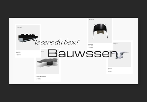 Web Design Package Example: Bauwssen E-commerce Platform UX/UI and Development