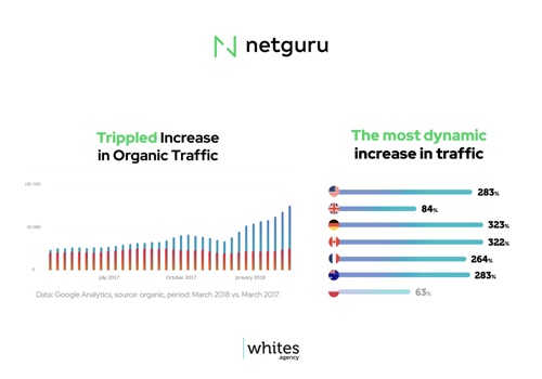 Pay Per Click Package Example: How we Tripled our Organic Traffic for Netguru