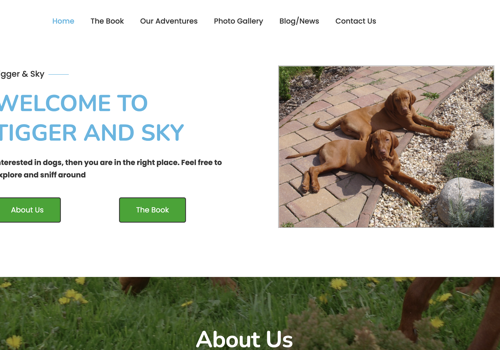 Web Design Package Example: Book Author Web Design & Development