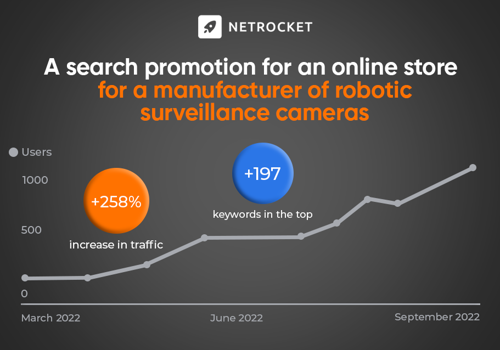 Search Engine Optimization Package Example: A search promotion for an online store PTZ Cameras