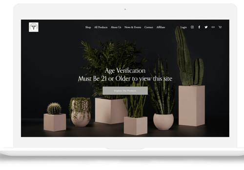 E-Commerce Development Package Example: Elevating Digital Presence with Platfom Upgrade