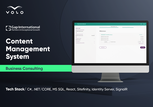 Custom Software Development Package Example: Content Management System, Online Pmt Optimization